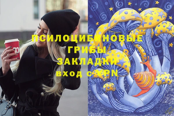 спайс Алзамай
