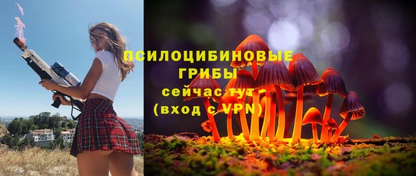 спайс Алзамай